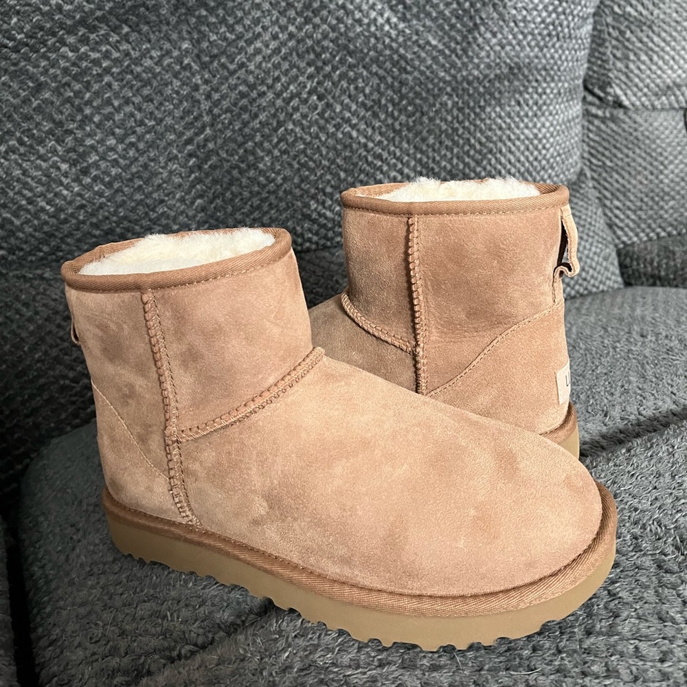 NWT in Box Chestnut Women’s Mini Uggs